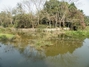深圳东湖公园游乐场